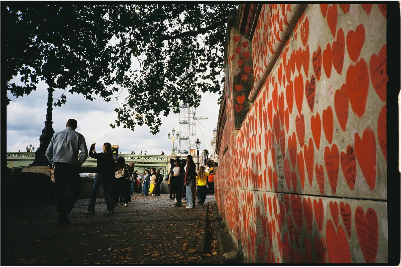 Film photograph shot on Kodak UltraMax 400 with a Konica Big Mini BM-201 by Zigao Wang