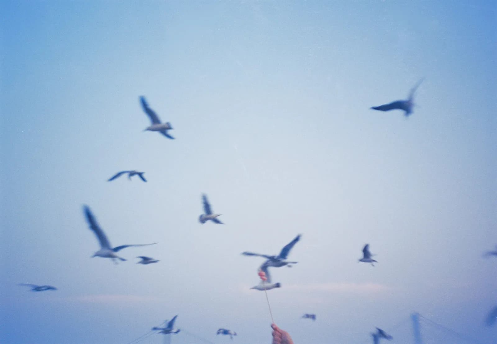 Film photograph shot on Kodak Vision3 250D with an Olympus Mju-I by CJ Liu