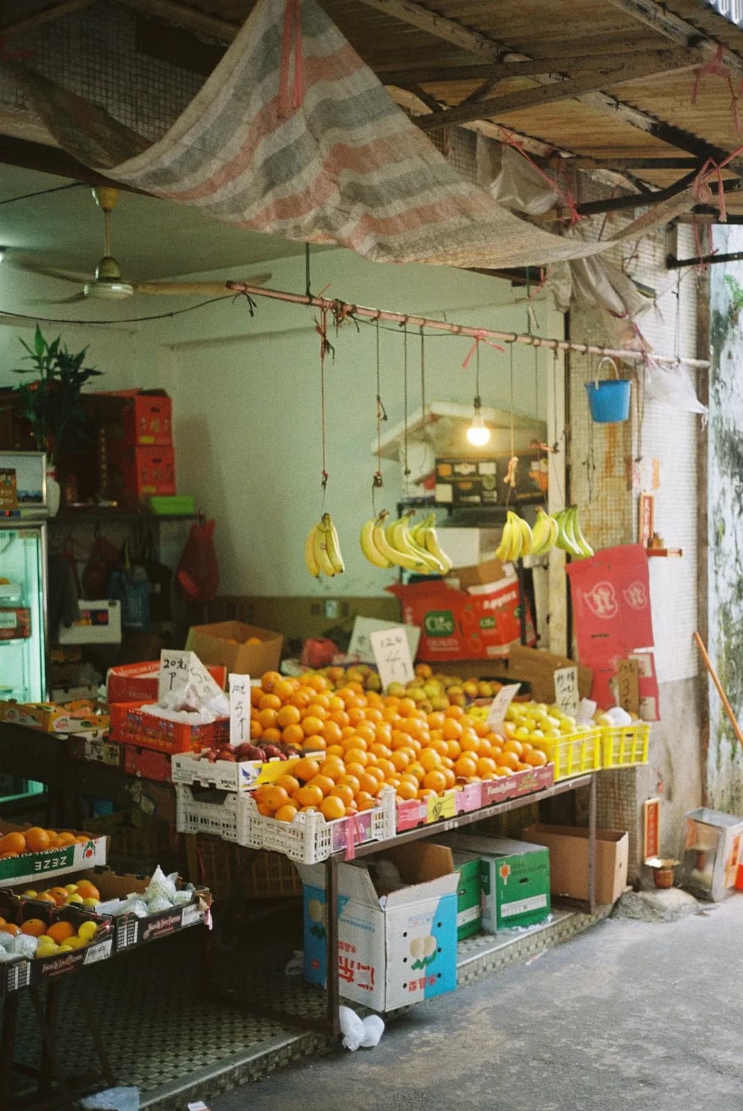Film photograph shot on Kodak UltraMax 400 with an Olympus 35 SP by Barry Shawn