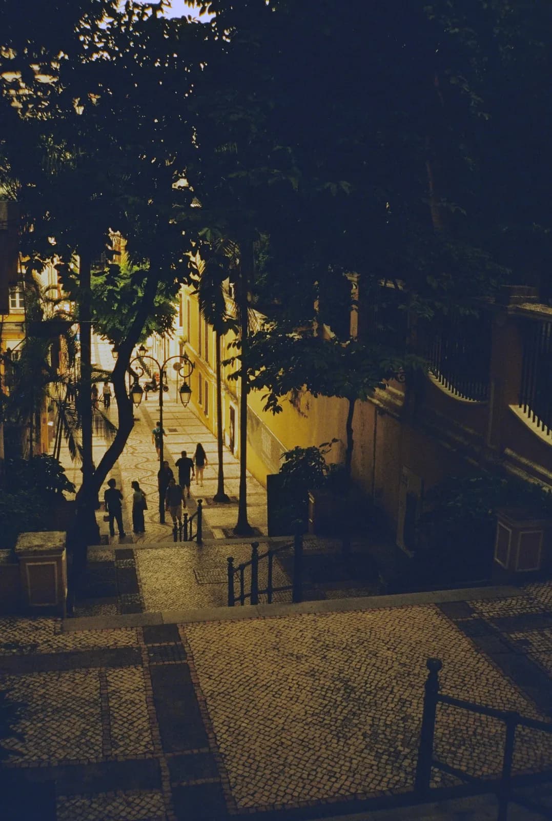 Film photograph shot on Lucky Color 400 with an Olympus Trip Panorama 2 by Zigao Wang