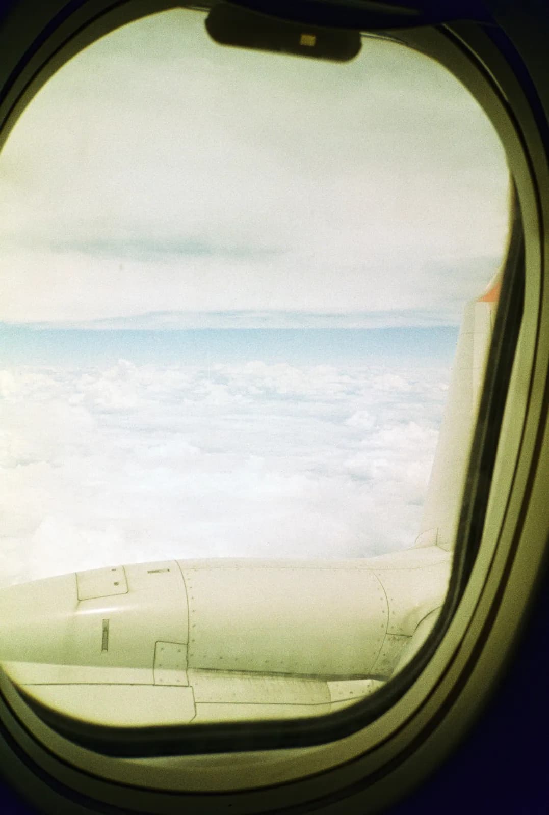 Film photograph shot on Lucky Color 400 with an Olympus Trip Panorama 2 by Zigao Wang