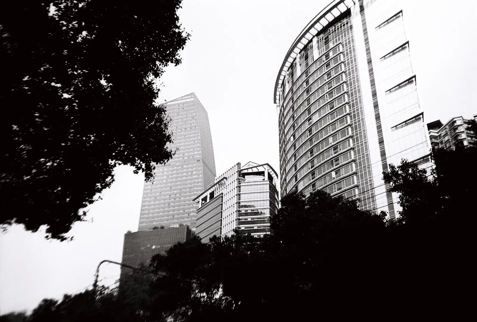 Film photograph