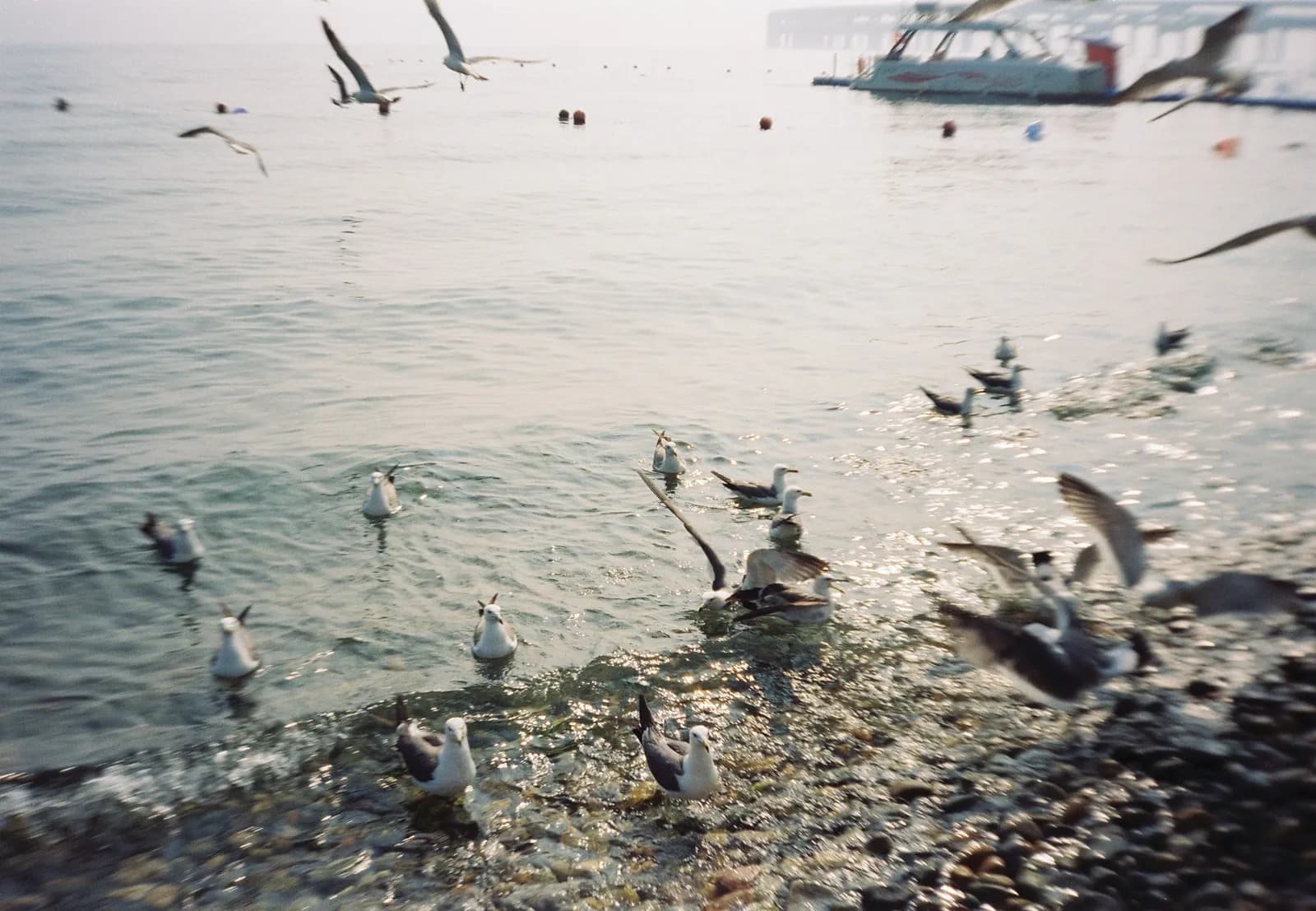 Film photograph shot on Kodak Vision3 250D with an Olympus Mju-I by CJ Liu