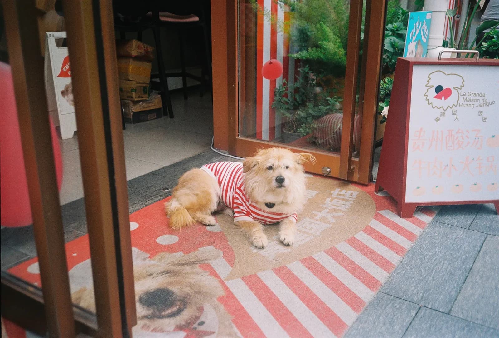 Film photograph shot on Kodak Gold 200 with an Olympus Mju-I by CJ Liu