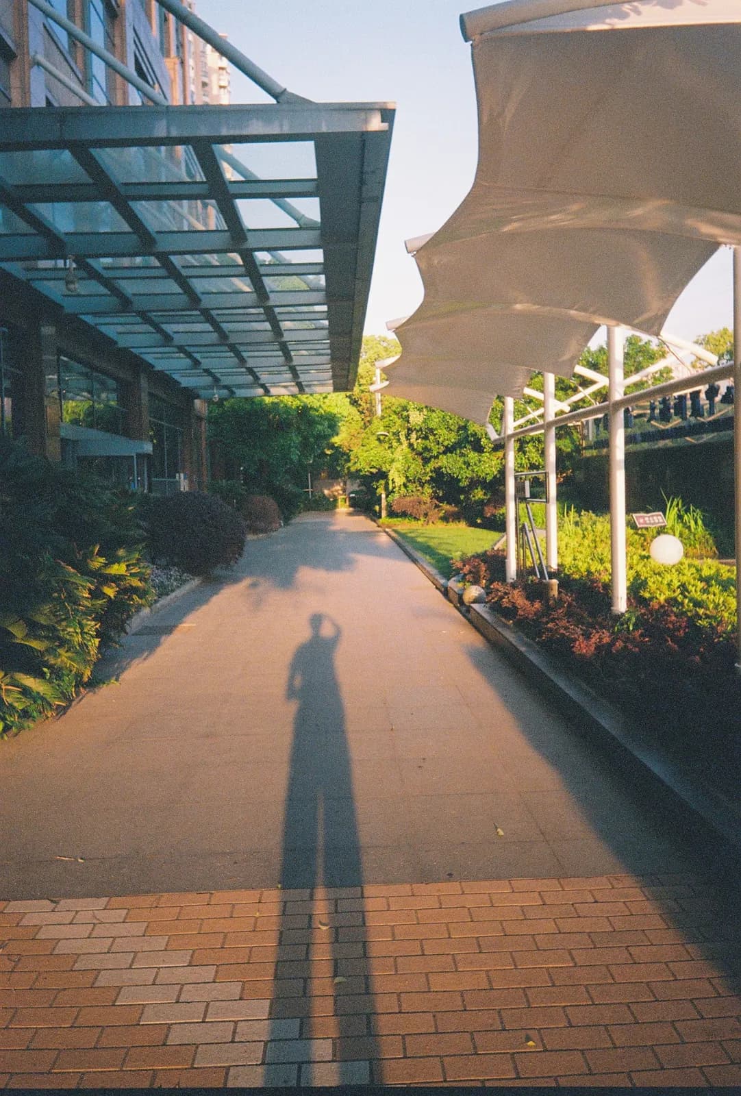 Film photograph