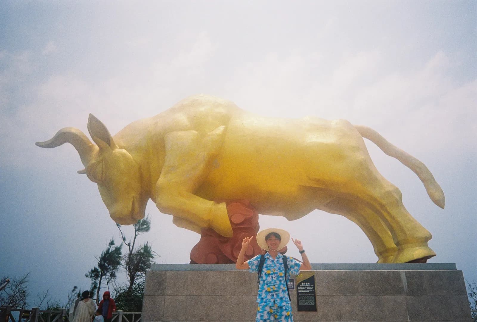Film photograph shot on Lomography Color Negative 400 with a Kodak Snapic A1 by Zigao Wang