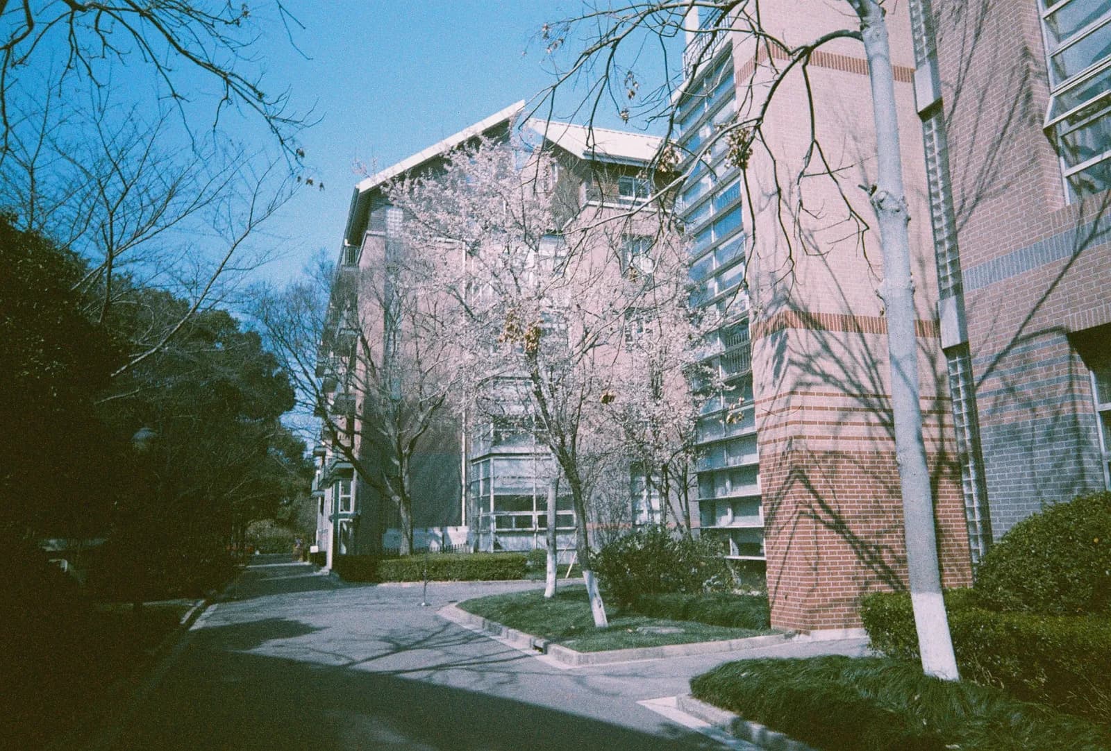 Film photograph shot on Orwo Wolfen NC400 with a Kodak Snapic A1 by Zigao Wang