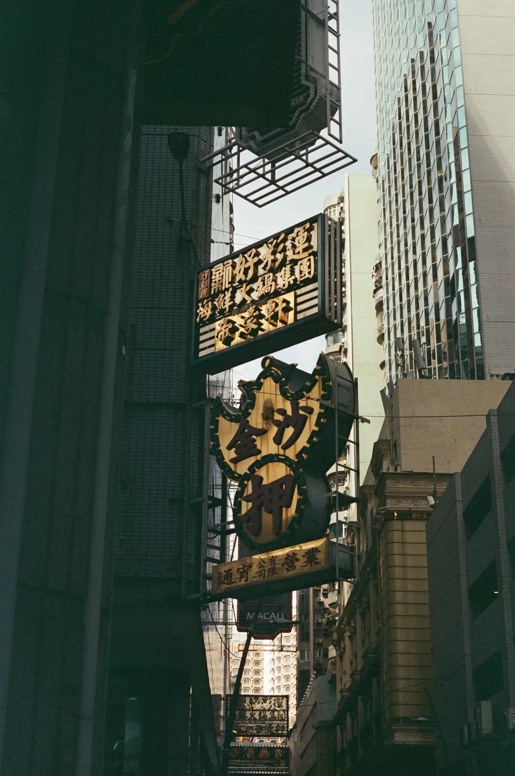 Film photograph shot on Kodak Vision3 250D with a Canon AE-1 Program by Zigao Wang