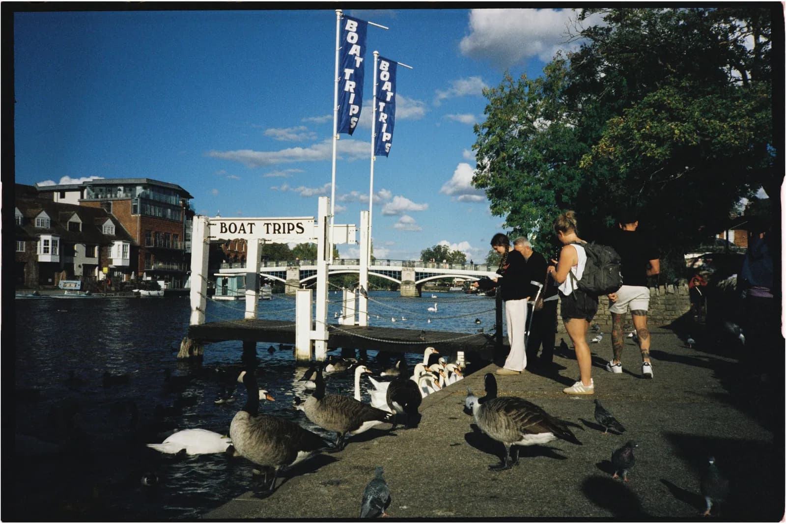 Film photograph shot on Candido 400 with a Konica Big Mini BM-201 by Zigao Wang