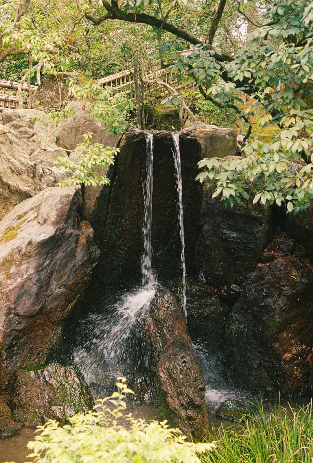 Film photograph shot on Lomography Color Negative 400 with a Canon AE-1 Program by Zigao Wang