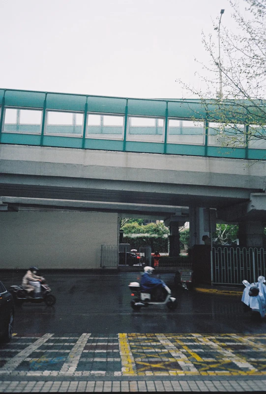 Film photograph shot on Kodak Gold 200 with an Olympus Mju-I by CJ Liu