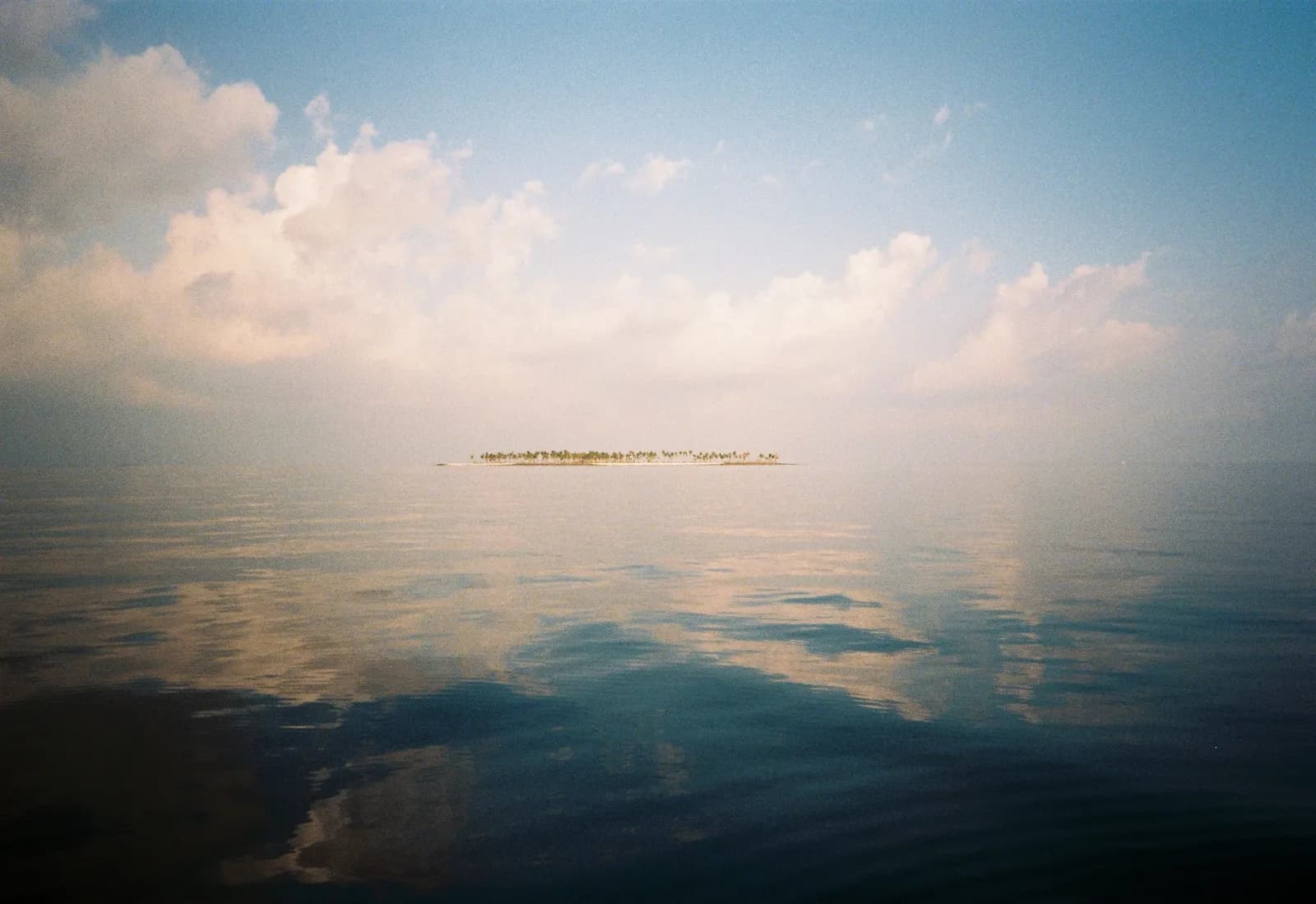 Film photograph