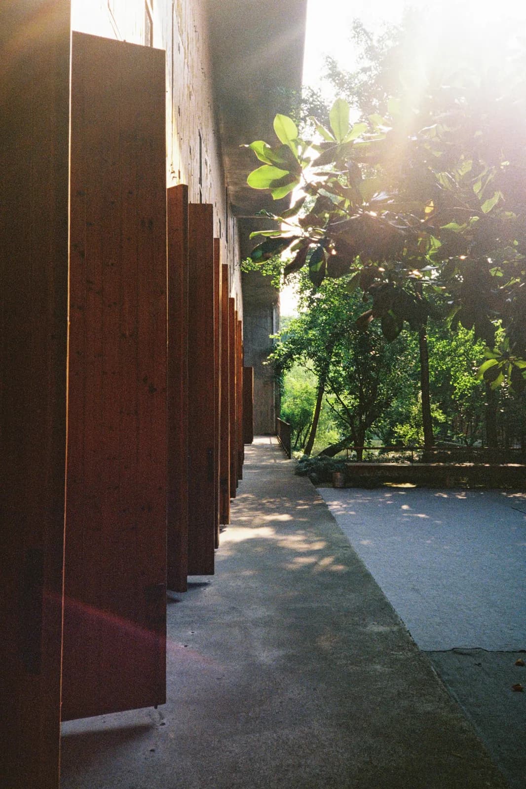 Film photograph shot on Kodak UltraMax 400 with a Canon Autoboy FXL by Febe Mo