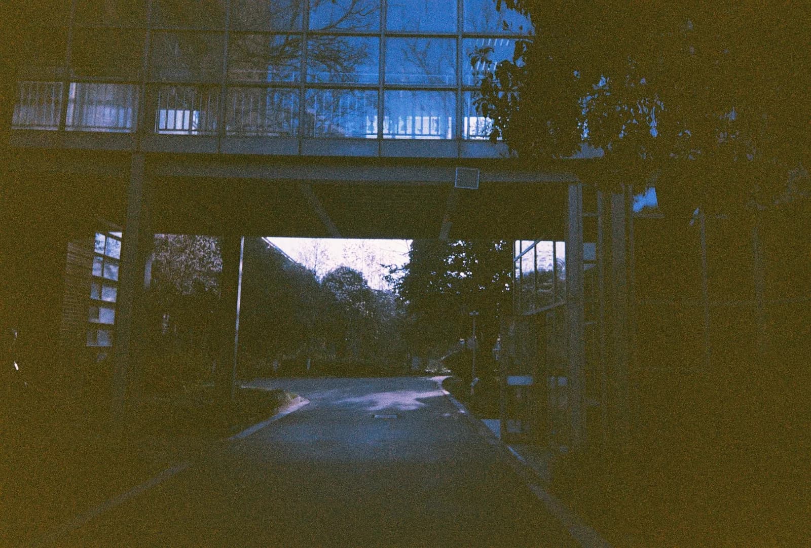Film photograph shot on Orwo Wolfen NC400 with a Kodak Snapic A1 by Zigao Wang