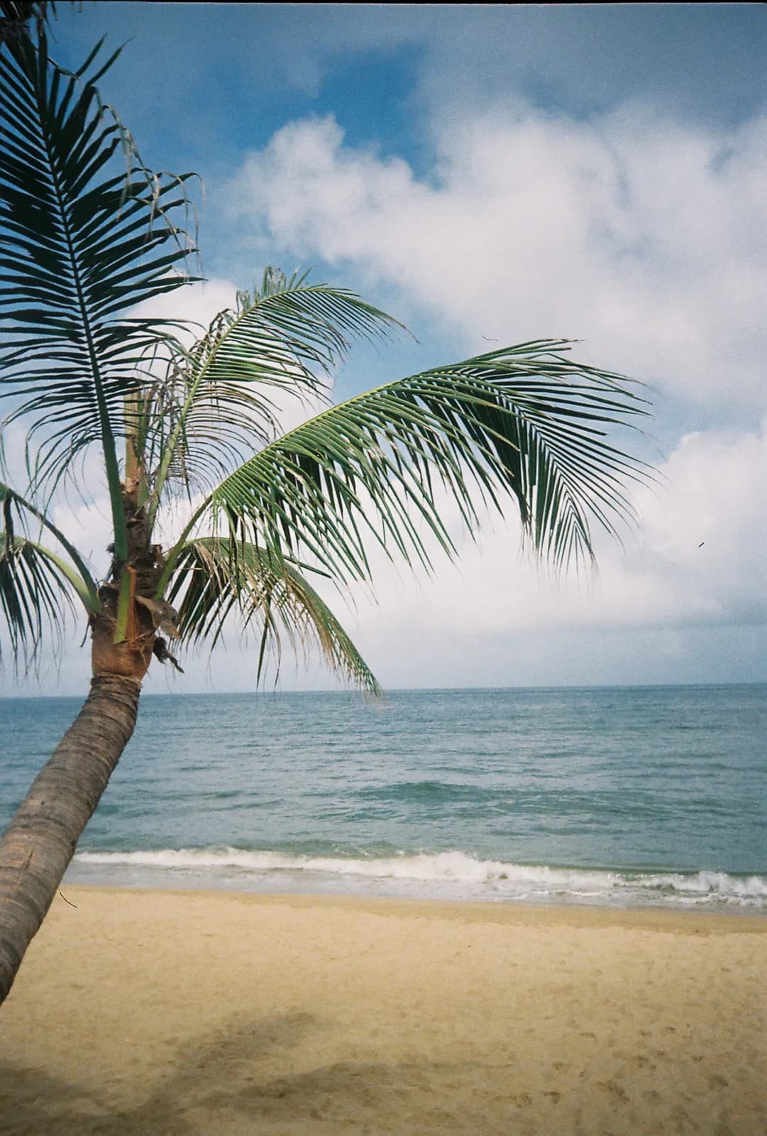 Film photograph