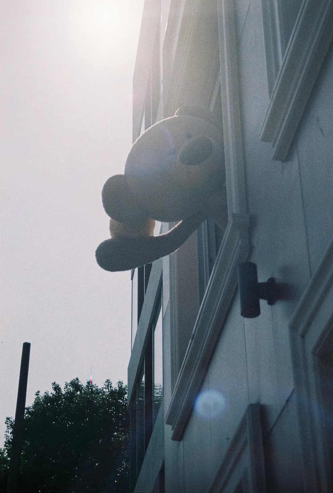 Film photograph shot on LomoChrome Color '92 Sun-Kissed with a Canon AE-1 Program by CJ Liu
