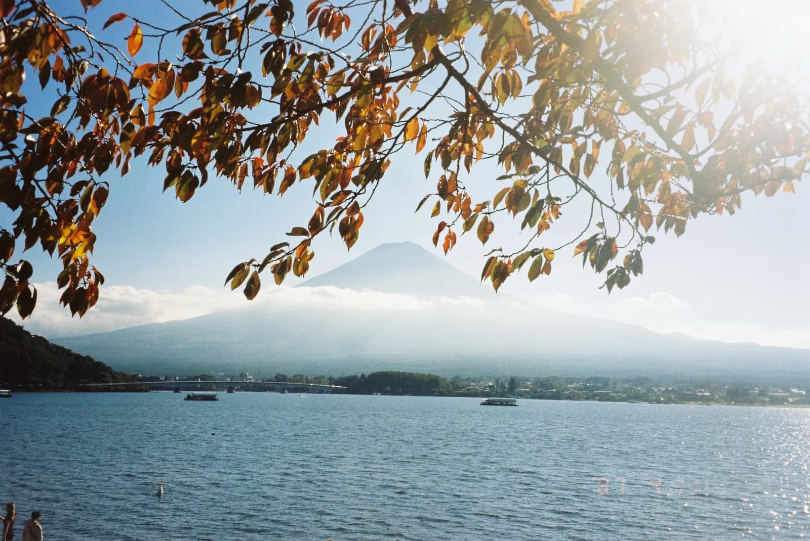 Film photograph shot on Kodak Gold 200 with a Pentax Espio 120 by lyu