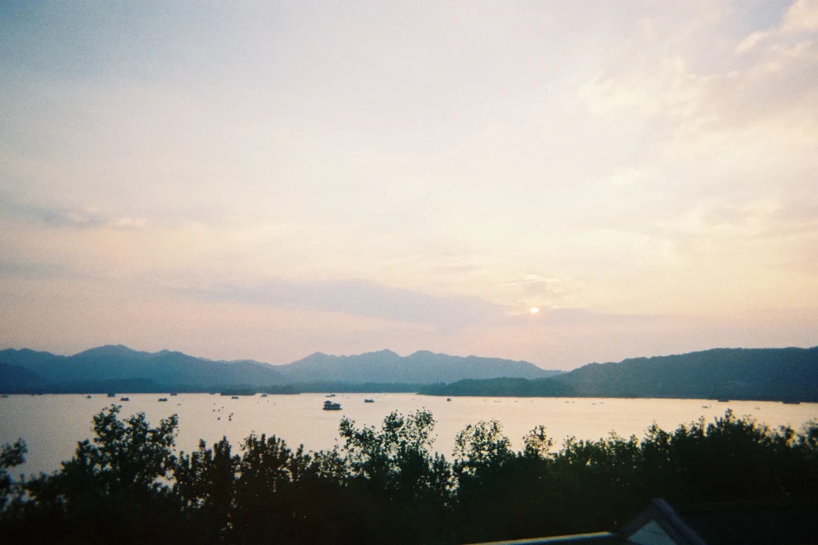 Film photograph shot on Kodak Gold 800 with a Kodak FunSaver by Max Du