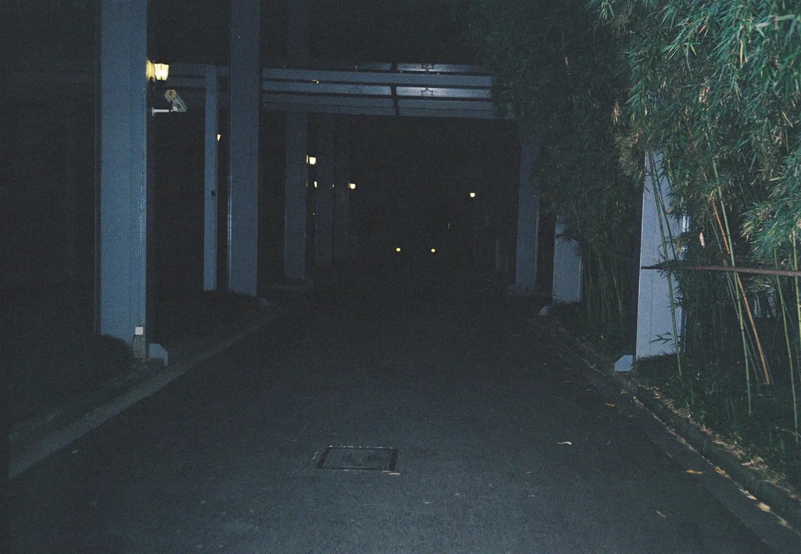 Film photograph shot on Kodak Gold 200 with an Olympus Mju-I by CJ Liu