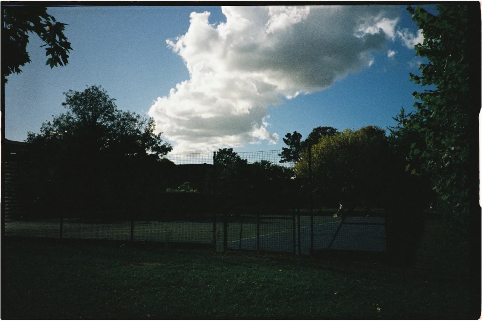 Film photograph shot on Candido 400 with a Konica Big Mini BM-201 by Zigao Wang