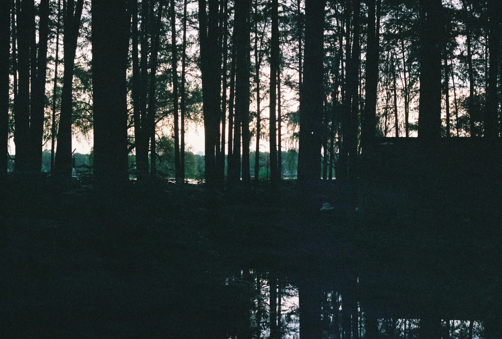 Film photograph shot on Fujifilm Superia Premium 400 with a Canon AE-1 Program by Zigao Wang