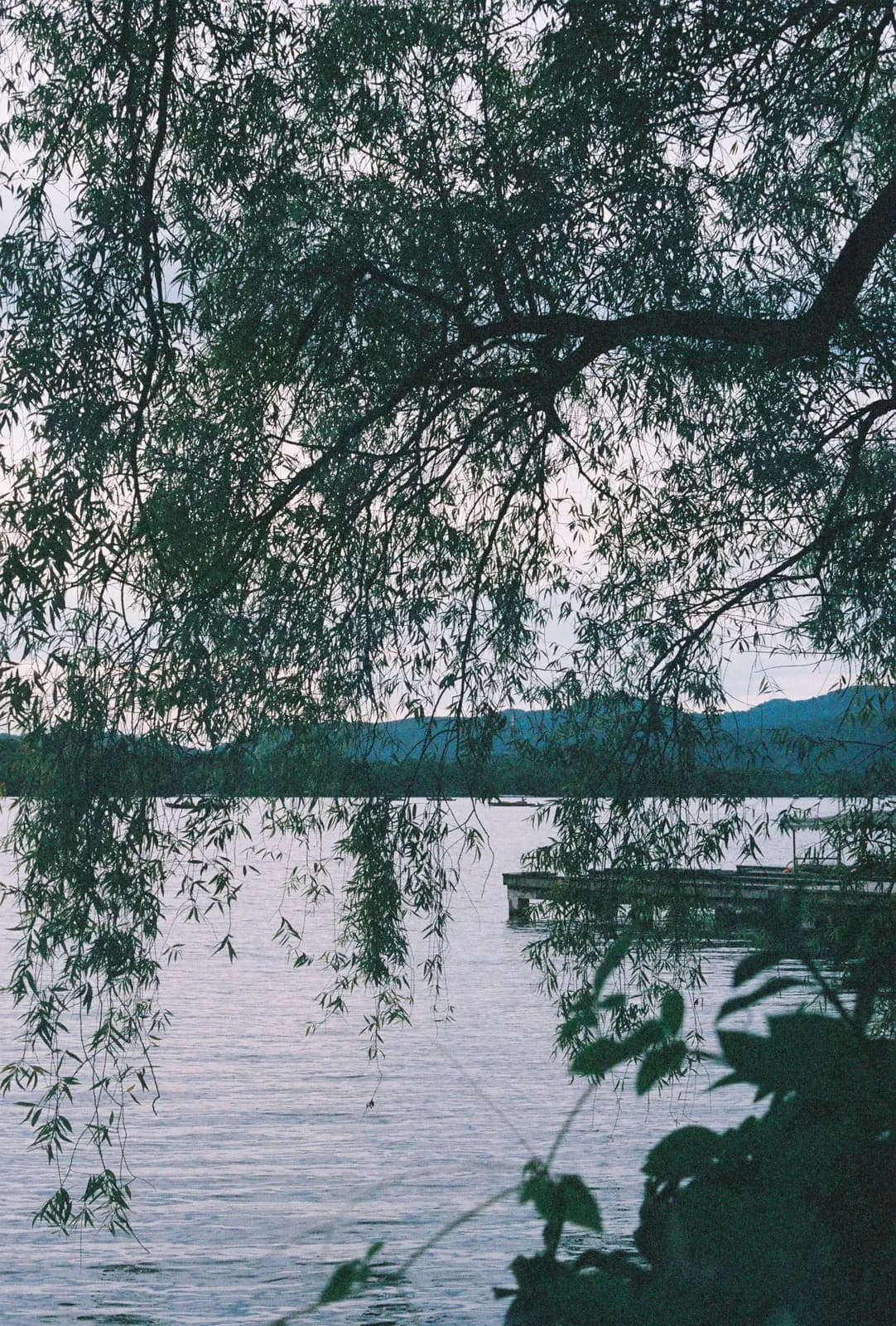 Film photograph shot on Fujifilm Superia Premium 400 with a Canon AE-1 Program by Zigao Wang