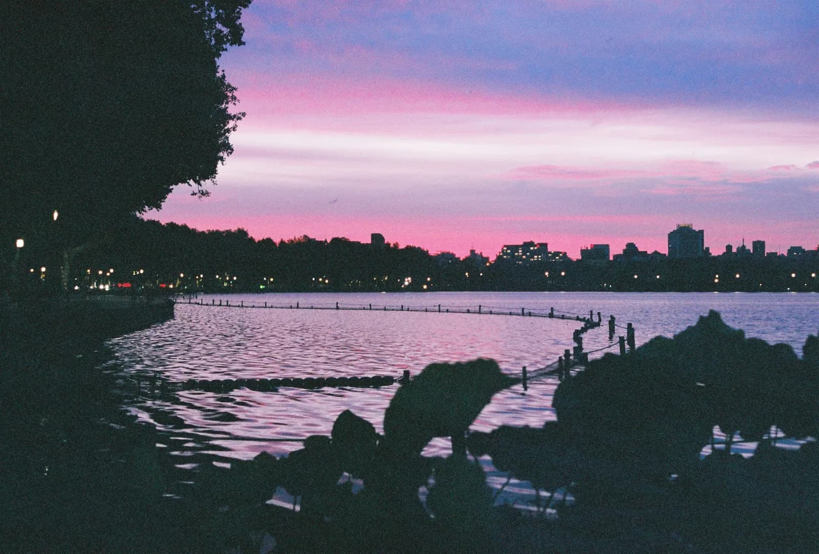 Film photograph shot on Fujifilm Superia Premium 400 with a Canon AE-1 Program by Zigao Wang