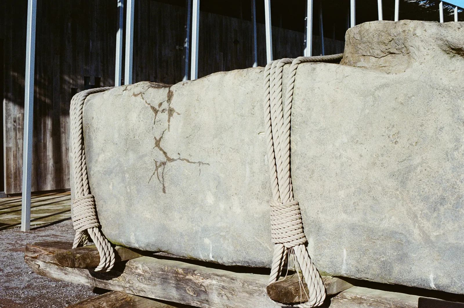 Film photograph