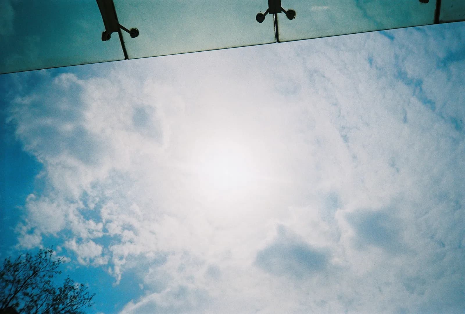 Film photograph shot on Kodak Gold 200 with an Olympus Mju-I by CJ Liu