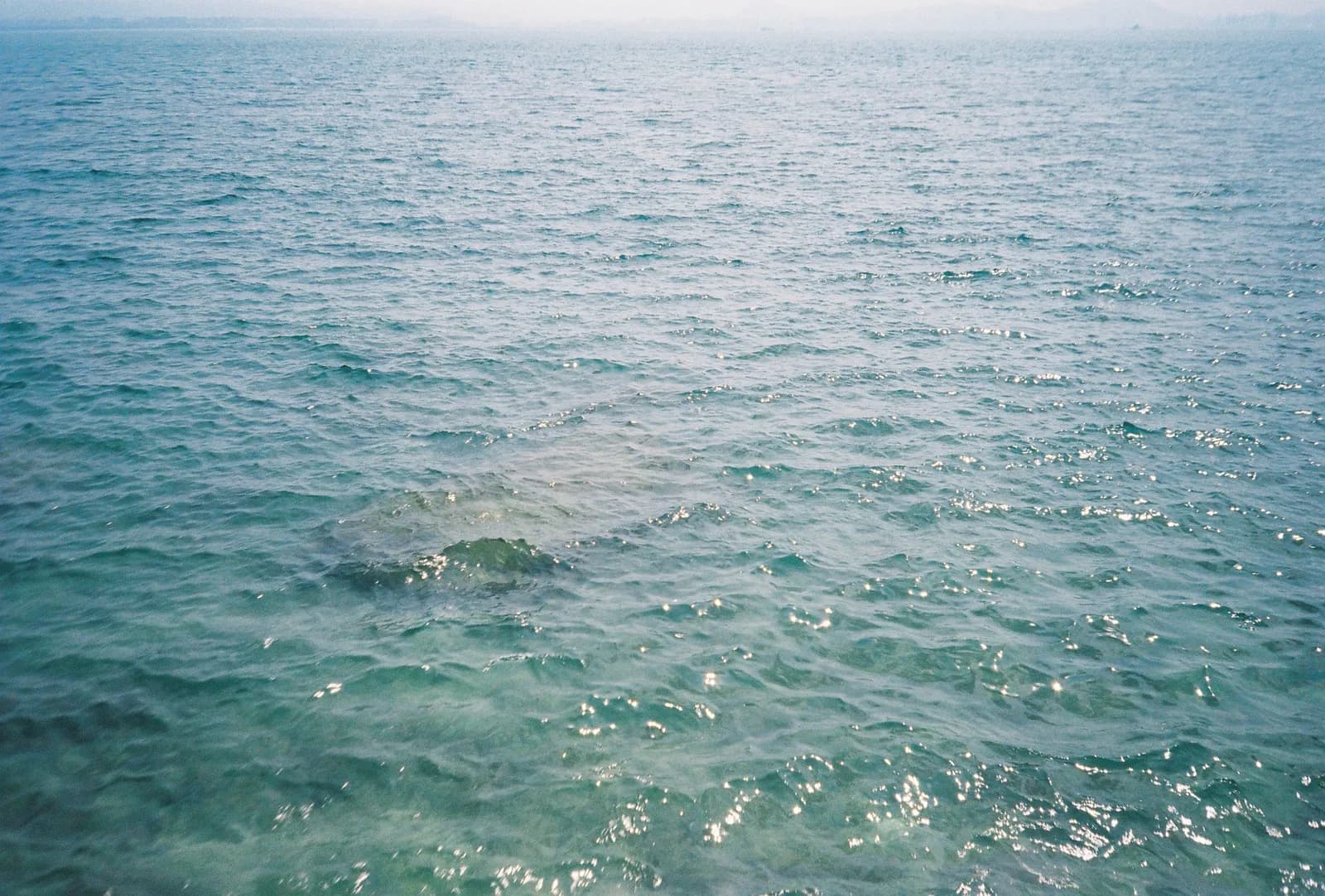 Film photograph shot on Kodak Gold 200 with an Olympus Mju-I by CJ Liu