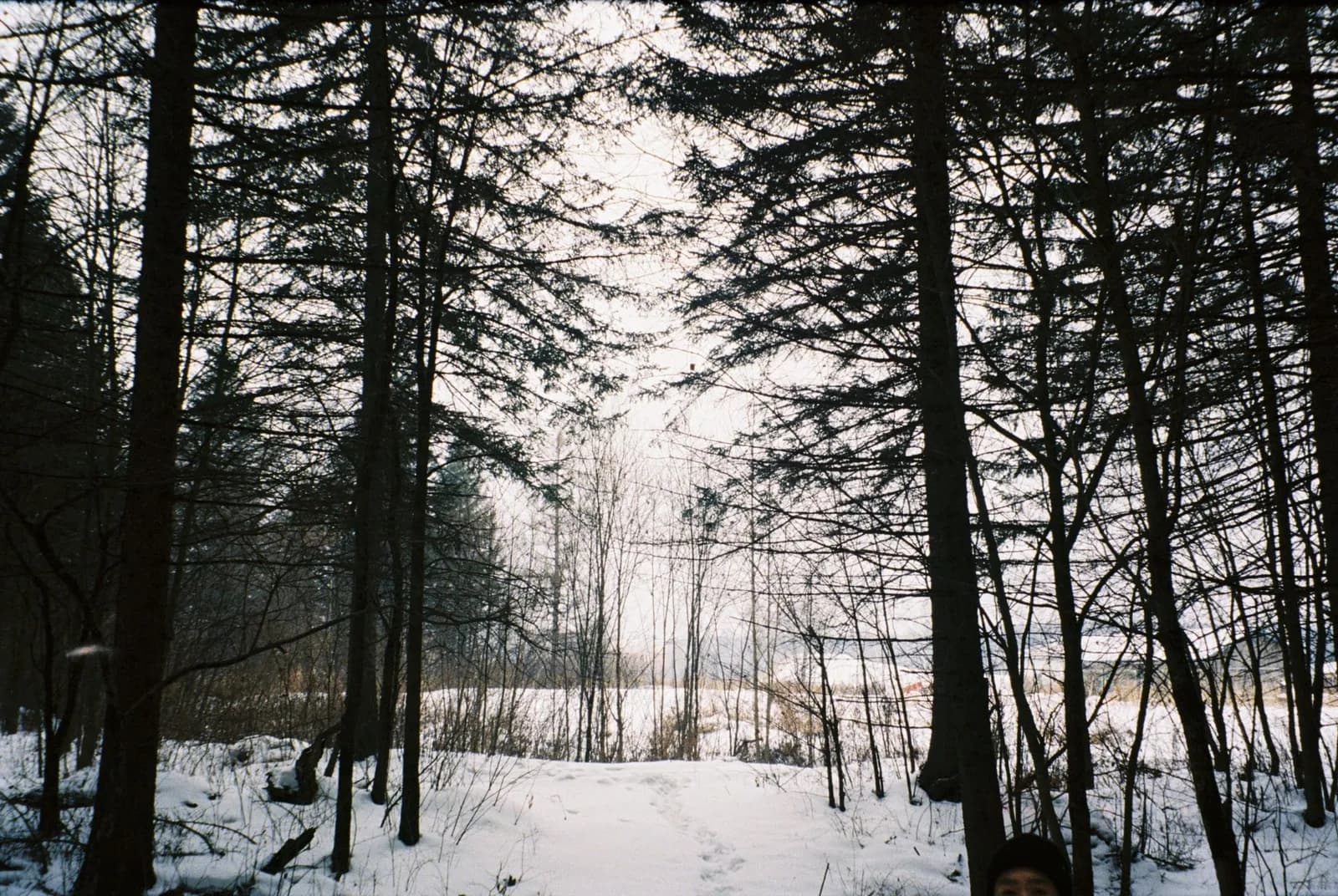 film archive _ Changbai Mountain 