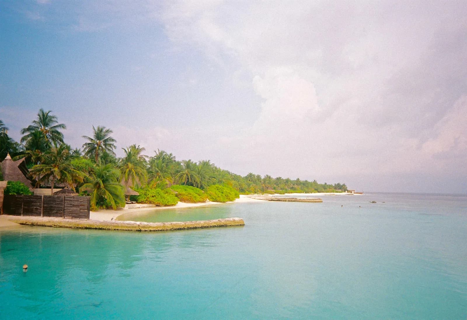 Film photograph