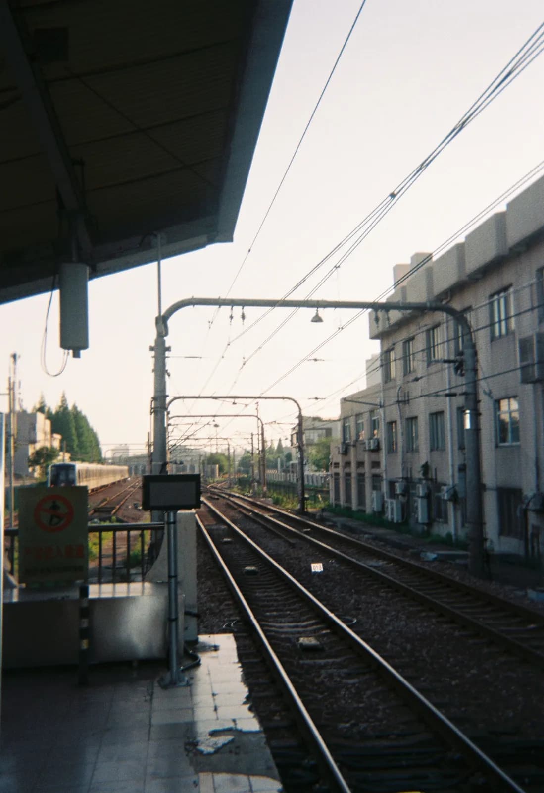 Film photograph by Selina Xu