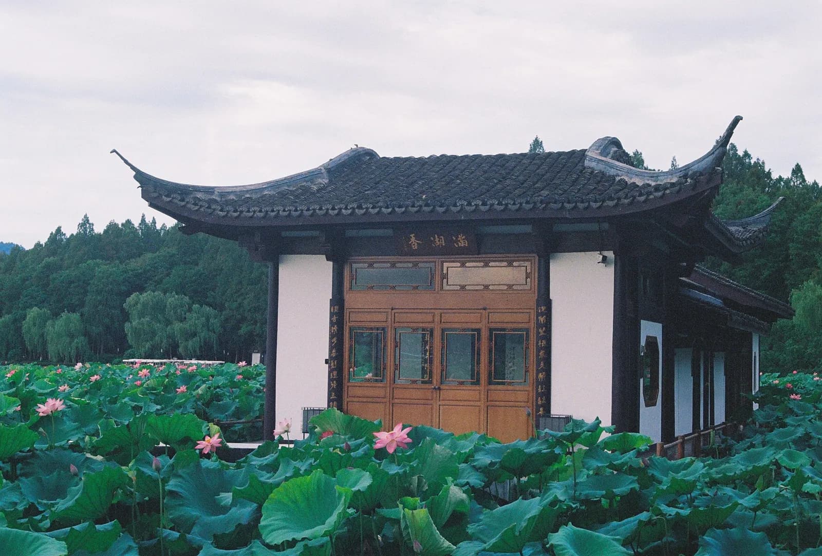 Film photograph shot on Kodak UltraMax 400 with a Canon AE-1 Program by Zigao Wang