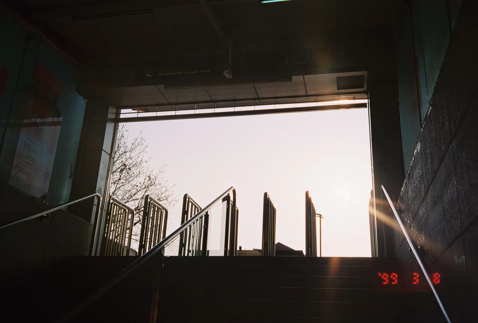 Film photograph