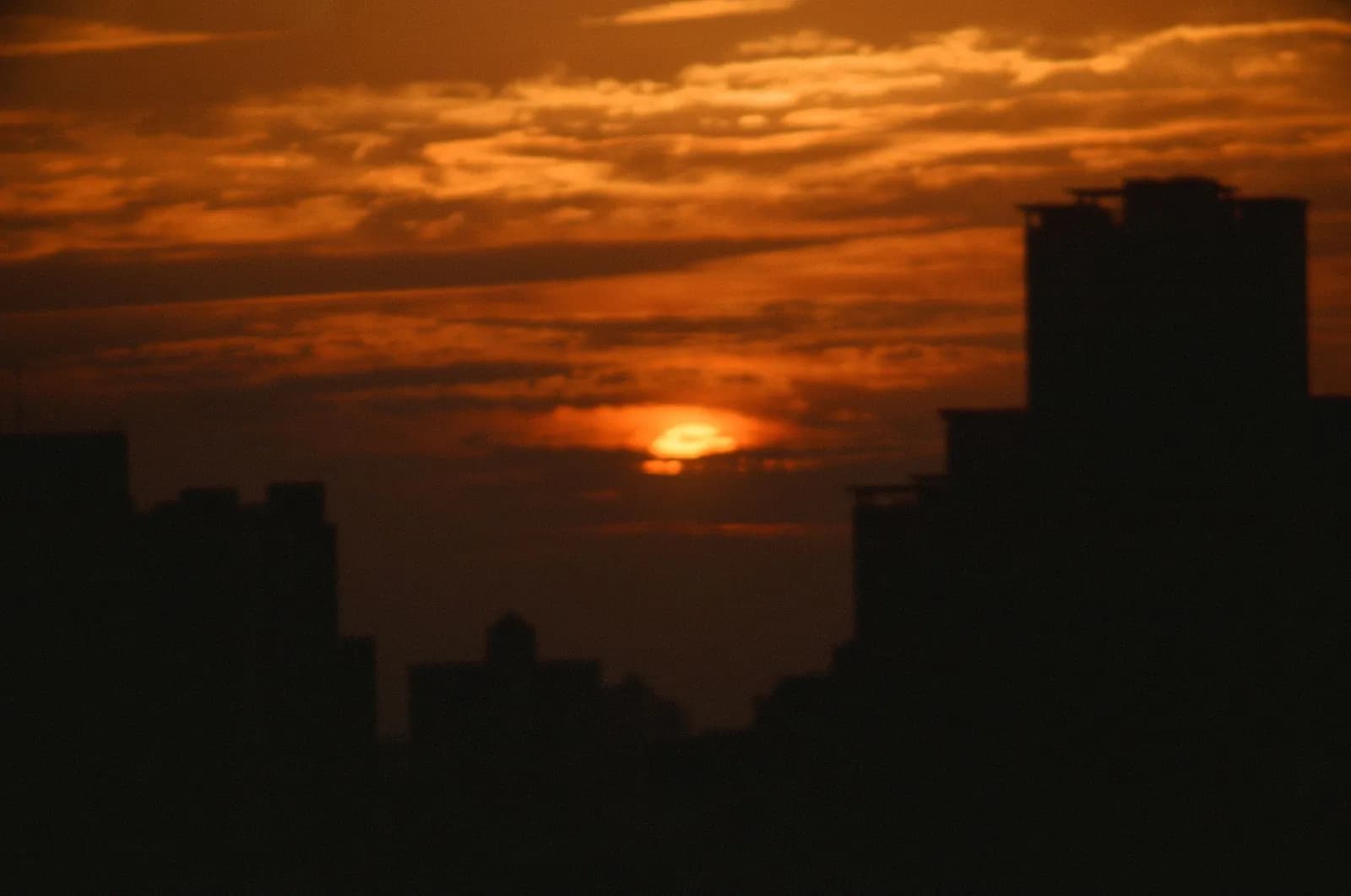 Film photograph shot on Kodak Ektachrome E100 with a Canon AE-1 Program by CJ Liu