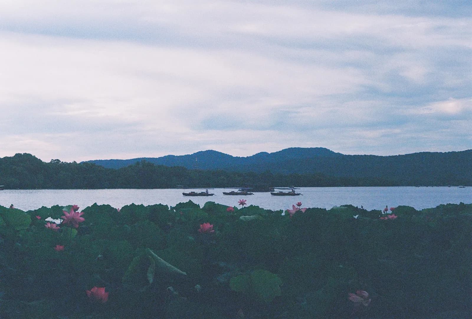 Film photograph shot on Kodak UltraMax 400 with a Canon AE-1 Program by Zigao Wang