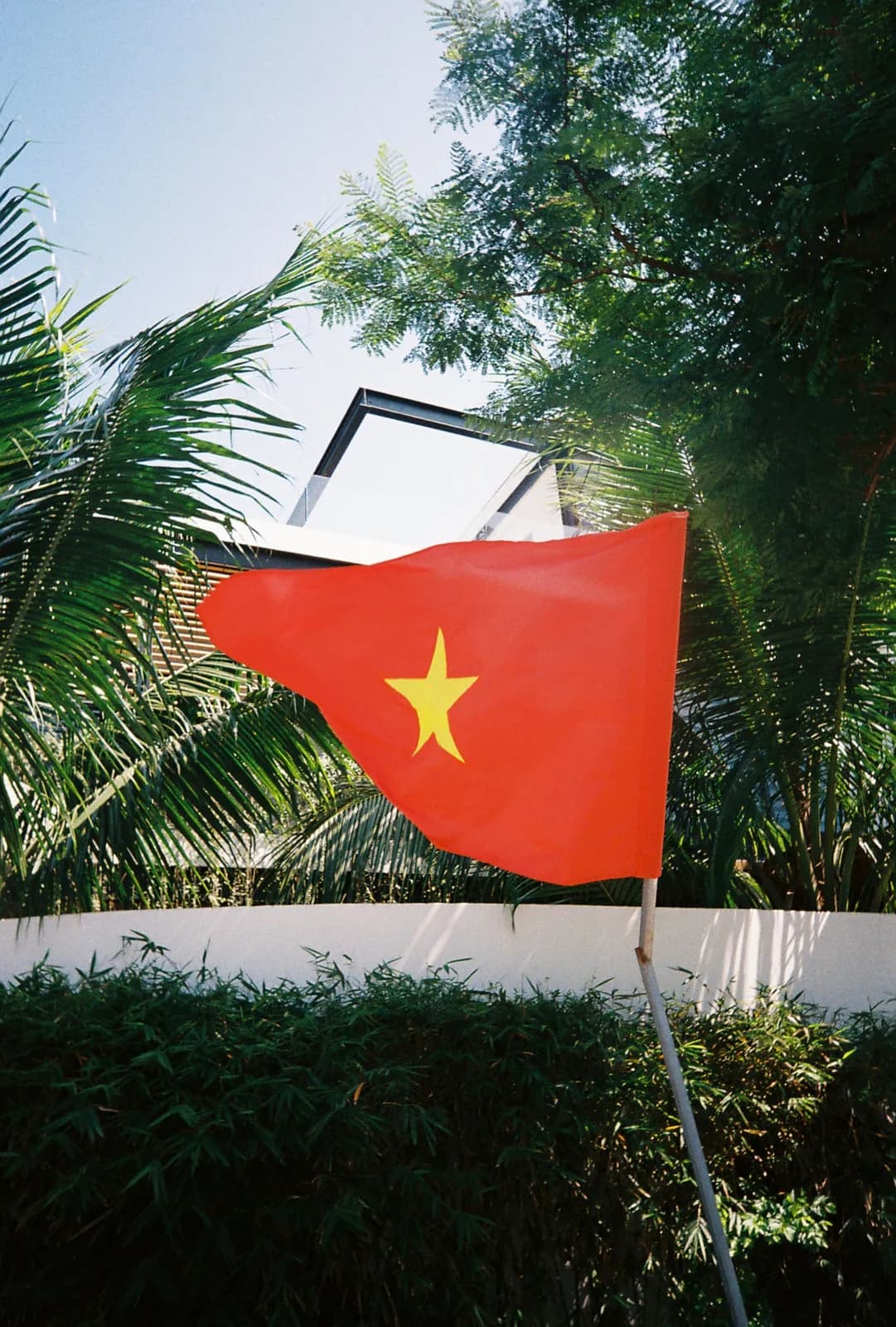 Film photograph