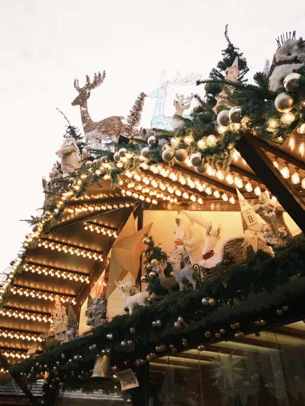 Film photograph shot on Fujifilm 400 with a Canon AE-1 Program by Liu