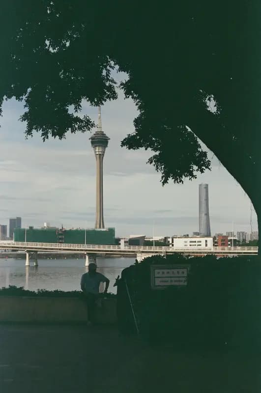 Sample photo shot on Kodak Vision3 250D