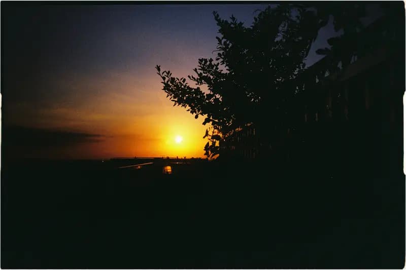 Film photograph shot on Kodak UltraMax 400 with a Konica Big Mini BM-201 by Zigao Wang