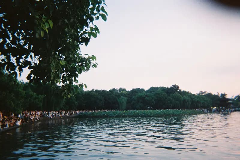 Film photograph shot on Kodak Gold 800 with a Kodak FunSaver by Max Du