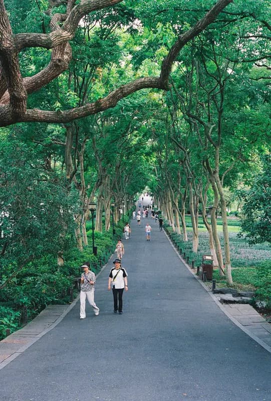 Film photograph shot on Kodak UltraMax 400 with a Canon AE-1 Program by Zigao Wang
