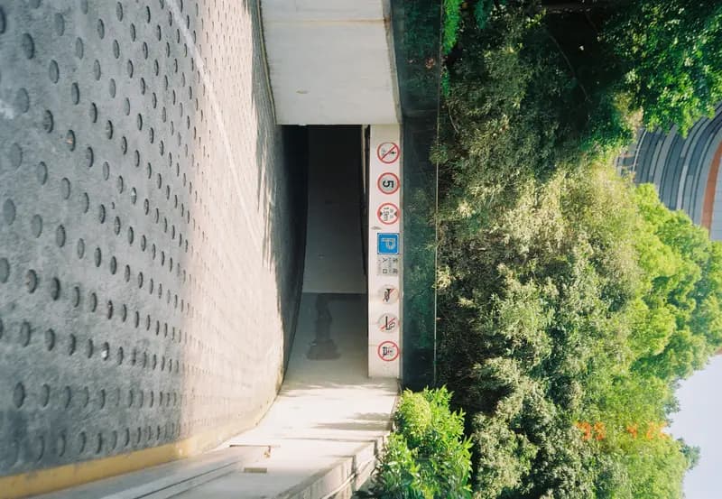 Film photograph shot on Kodak Gold 200 with an Olympus Mju-I by CJ Liu