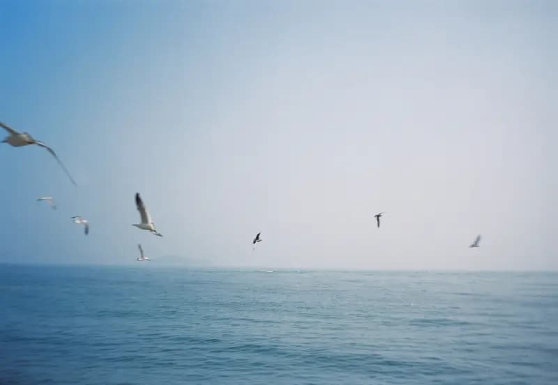 Film photograph shot on Kodak Vision3 250D with an Olympus Mju-I by CJ Liu