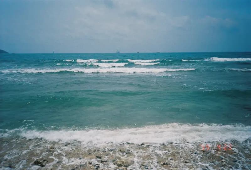 Film photograph shot on Kodak Gold 200 with an Olympus Mju-I by CJ Liu
