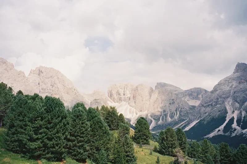 Film photograph shot on Fujifilm 400 with a Canon Autoboy S by hilla