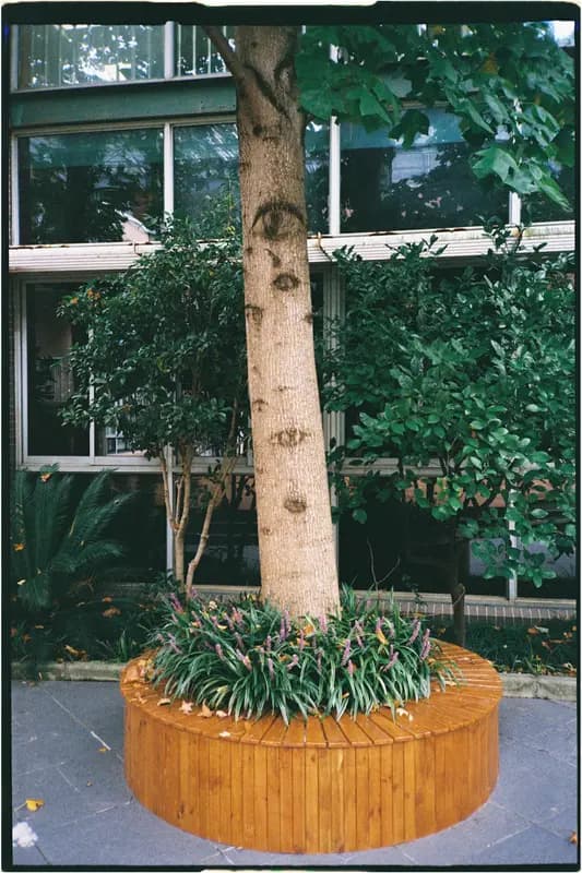 Sample photo shot on Kodak UltraMax 400