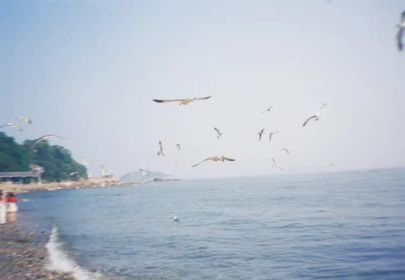 Film photograph shot on Kodak Vision3 250D with an Olympus Mju-I by CJ Liu
