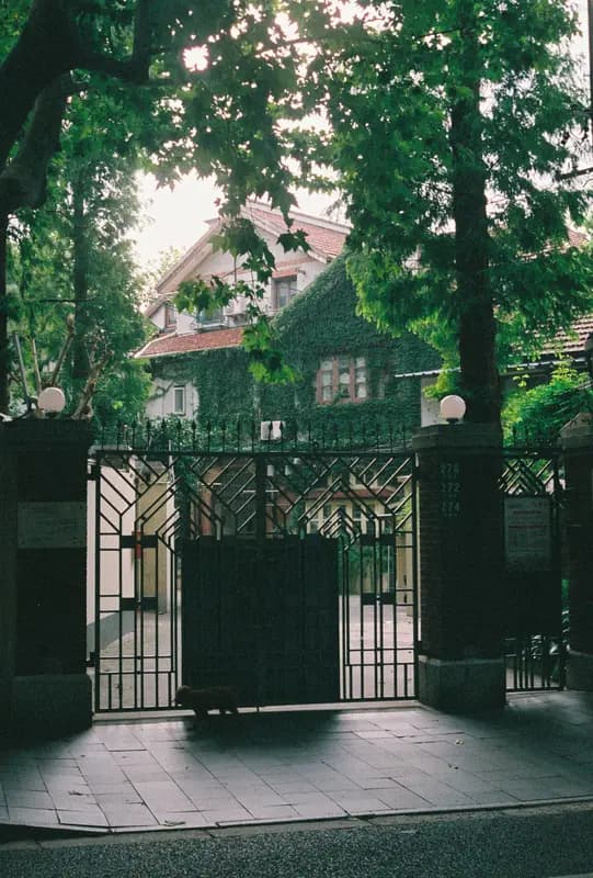 Film photograph shot on Fujifilm Superia Premium 400 with a Canon AE-1 Program by Zigao Wang